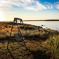 快速同步更新的在线ddos网页端