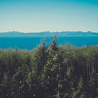 批发价格低廉的在线ddos网页端