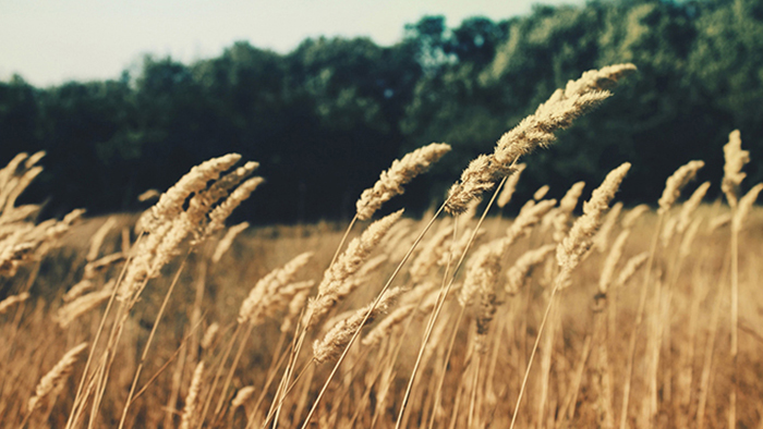 无缝集成开发的网站压力测试