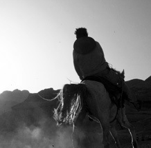 攻击网站在线工具